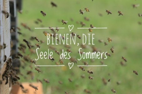 BienenSeele