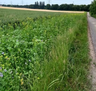 img_20180610_210548519_hdr2