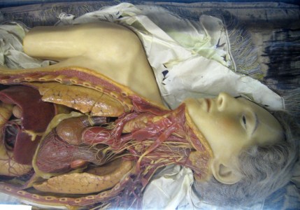 Koerperwelten_in_wachs1