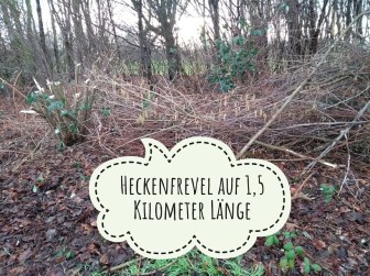 heckenfrevel
